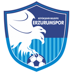 BB Erzurumspor dls logo